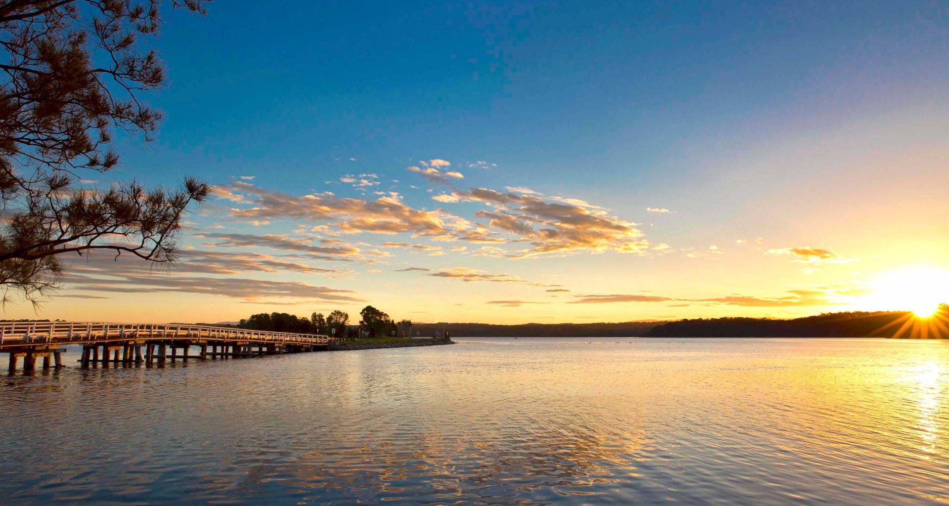 Tathra – out of the ashes!